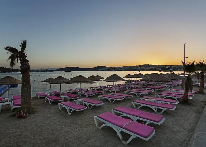 Resort Ladonia Del Mare (adults Only) Gümbet